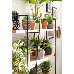 Studio Copenhagen Regal Anadyr - Schwarz / Esche 17 Studio Copenhagen Regal Anadyr - Schwarz / Esche -Wohnzimmermöbel boutique en ligne 1000007393 181114 11415201 GALLERYIMAGES P000000001000007393