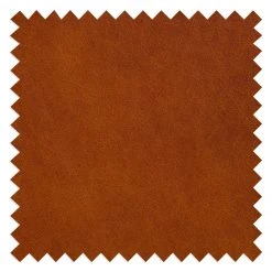 Ars Natura Ecksofa Clonee - Echtleder - Rehbraun - Longchair davorstehend links -Wohnzimmermöbel boutique en ligne 1000015039 210902 06235500024 DETAILS P000000001000015039