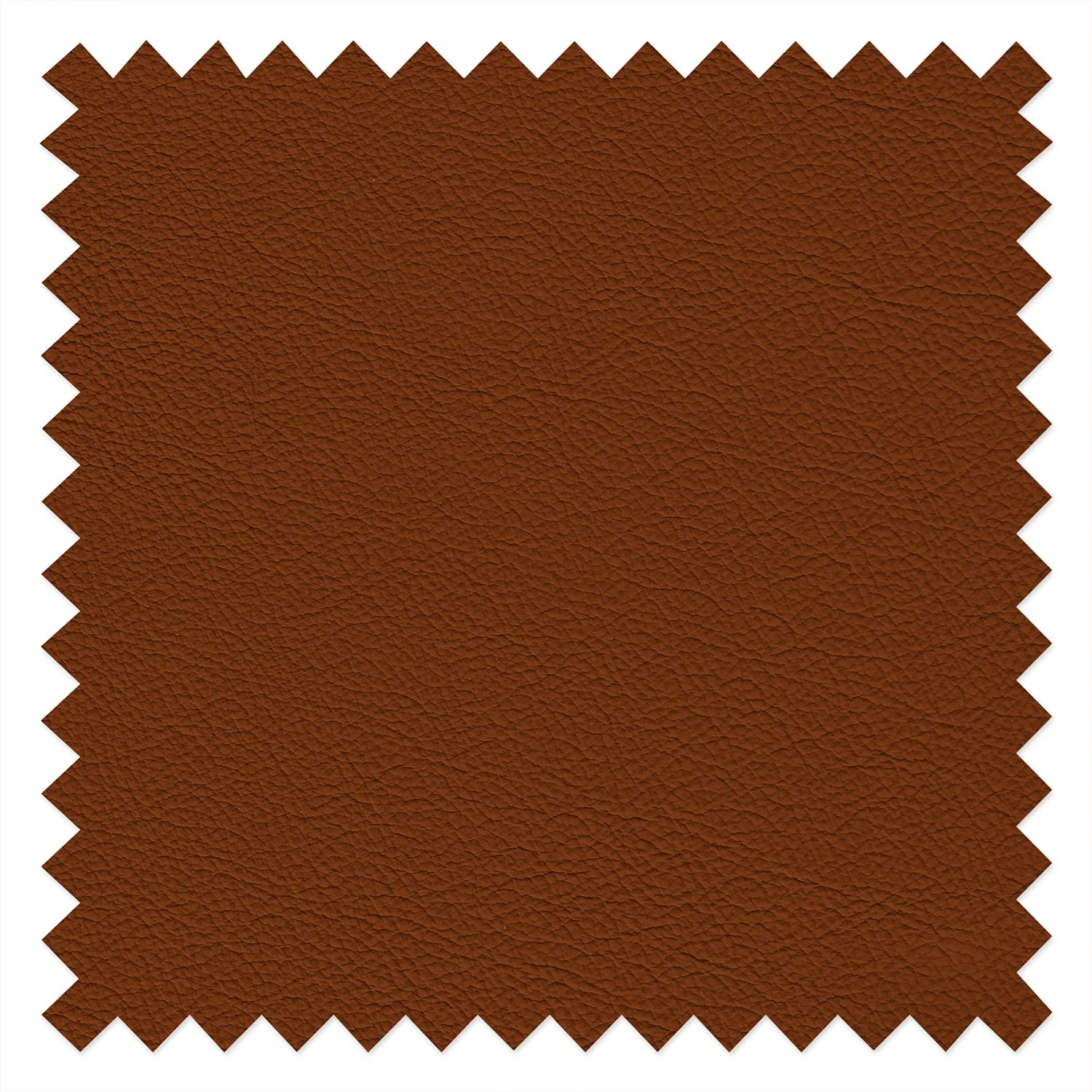 Loftscape Ecksofa Princesa - Echtleder - Cognac - Schlaffunktion - Bettkasten 13 Loftscape Ecksofa Princesa - Echtleder - Cognac - Schlaffunktion - Bettkasten – Bild 13