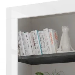 LC Spa Regal Urbino - Dunkelgrau / Weiß 12 LC Spa Regal Urbino - Dunkelgrau / Weiß -Wohnzimmermöbel boutique en ligne 1000178457 201029 09070100777 DETAILS P000000001000178457