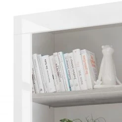 LC Spa Regal Urbino - Hellgrau / Weiß -Wohnzimmermöbel boutique en ligne 1000178464 201029 09101700830 DETAILS P000000001000178464