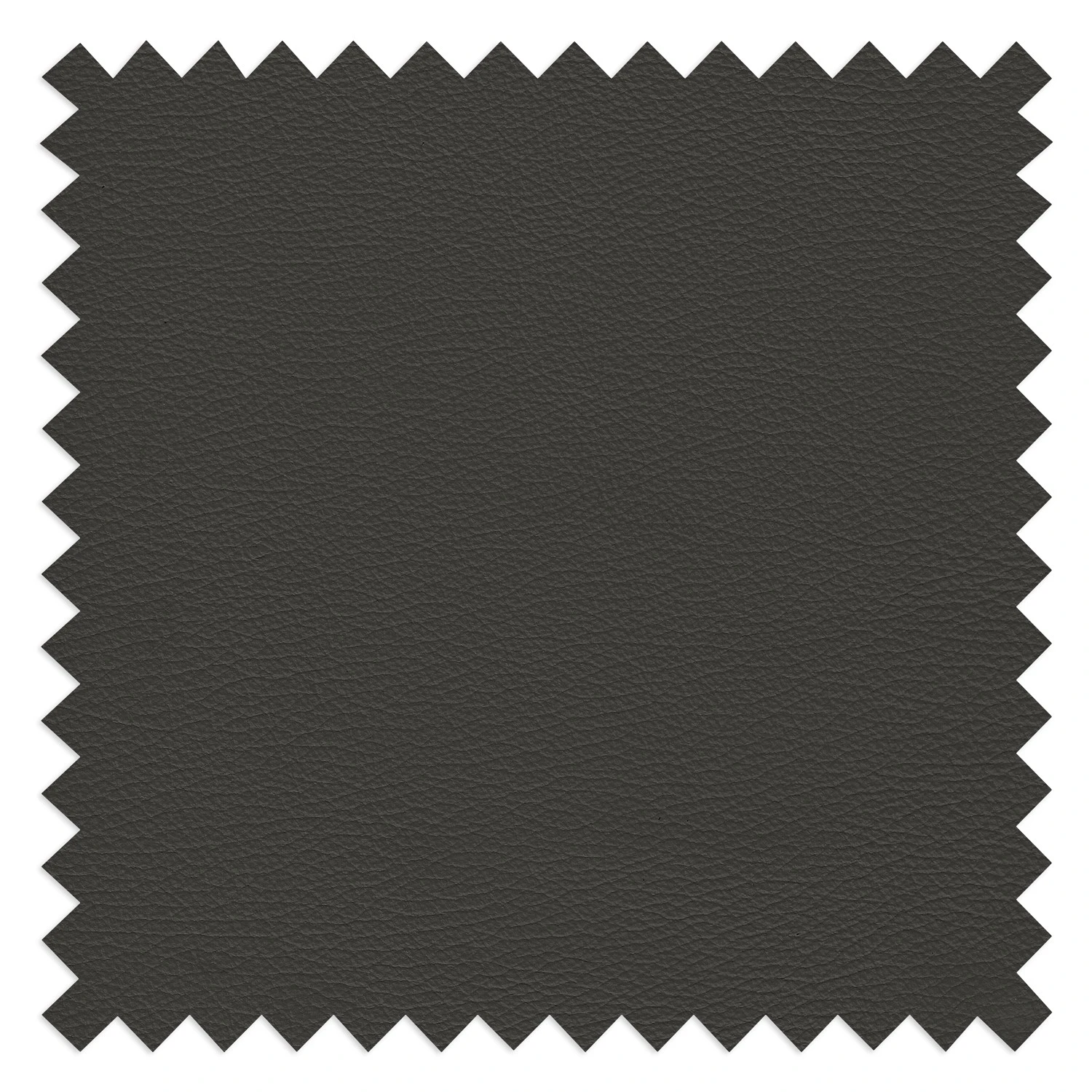 Loftscape Sofa Deven IV (2-Sitzer) - Pigmentiertes Leder - Anthrazit 10 Loftscape Sofa Deven IV (2-Sitzer) - Pigmentiertes Leder - Anthrazit – Bild 10