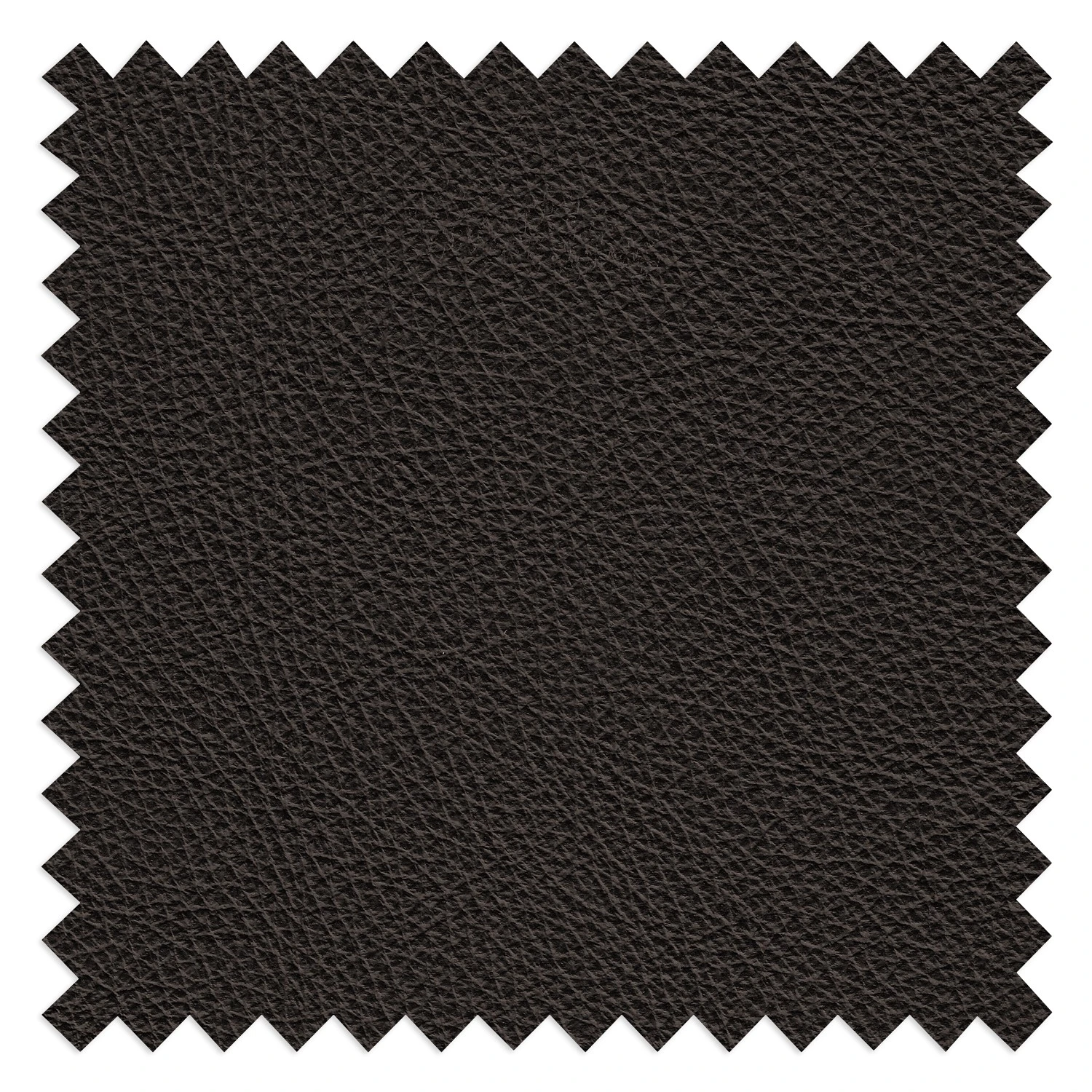 Modoform Sofa Lamexa I (2 -Sitzer) - Echtleder - Dunkelbraun - Relaxfunktion 10 Modoform Sofa Lamexa I (2 -Sitzer) - Echtleder - Dunkelbraun - Relaxfunktion – Bild 10