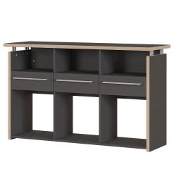 Germania Aktenregal Eugene - Anthrazit / Nussbaum Dekor