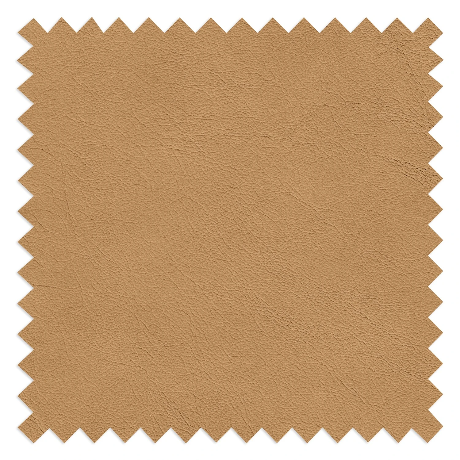 Fredriks Sofa Lound (2-Sitzer) - Echleder - Beige 15 Fredriks Sofa Lound (2-Sitzer) - Echleder - Beige – Bild 15