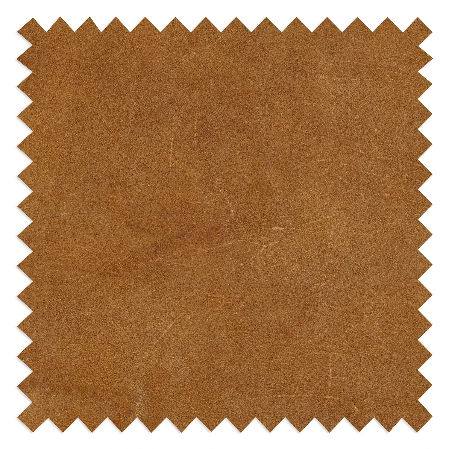 Naturoo Sofa Boyce (3-Sitzer) - Echtleder - Cognac 5 Naturoo Sofa Boyce (3-Sitzer) - Echtleder - Cognac – Bild 5