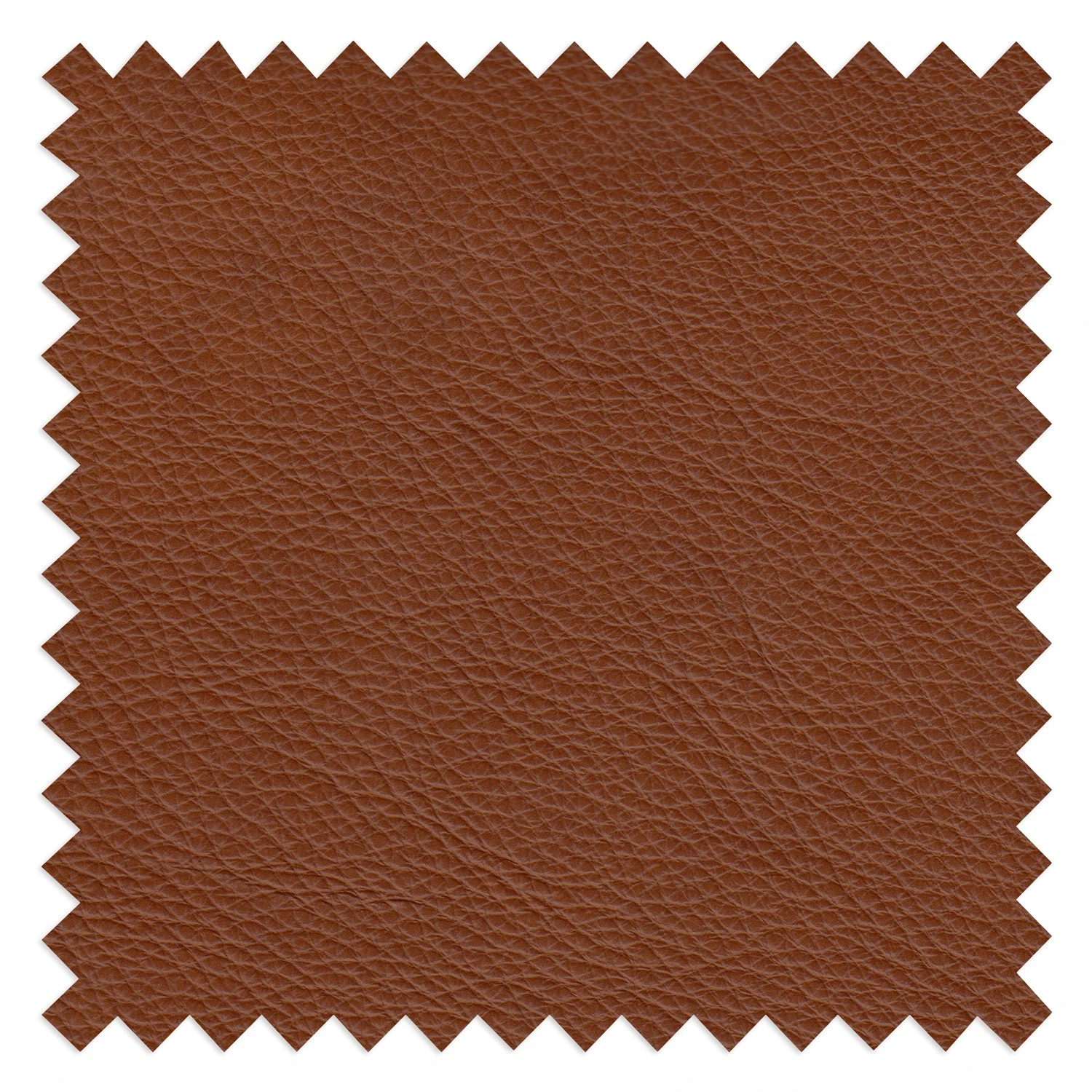 Ars manufacti Sofa Locana (2,5-Sitzer) - Echtleder Bulle: Tabak 7 Ars manufacti Sofa Locana (2,5-Sitzer) - Echtleder Bulle: Tabak – Bild 7