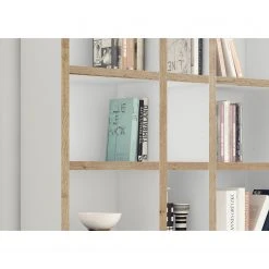 Loftscape Regal Emporior XVII - Wildeiche Dekor - Breite: 261 cm -Wohnzimmermöbel boutique en ligne 1000311795 211125 15414200072 DETAILS P000000001000311795