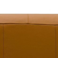 Studio Copenhagen 2-Sitzer Sofa HUDSON - Echtleder Neka: Cognac -Wohnzimmermöbel boutique en ligne sofa hudson 2 sitzer echtleder cognac 3852796